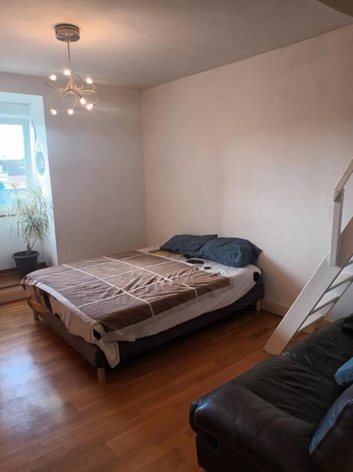 Le Schauenberg Apartment กอลมาร์ ภายนอก รูปภาพ